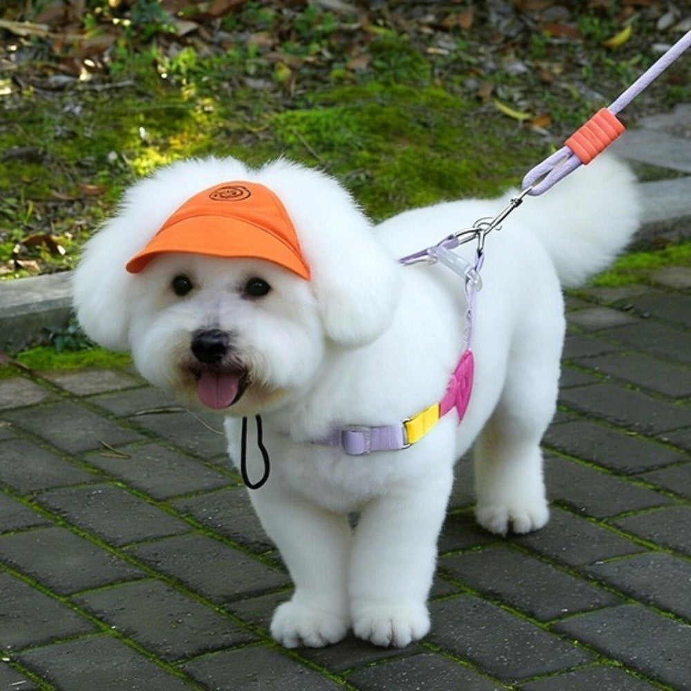 Cotton Cat Sunscreen Hat With Ear Holes Pet Sun Cap Dog Baseball Hat  Travel