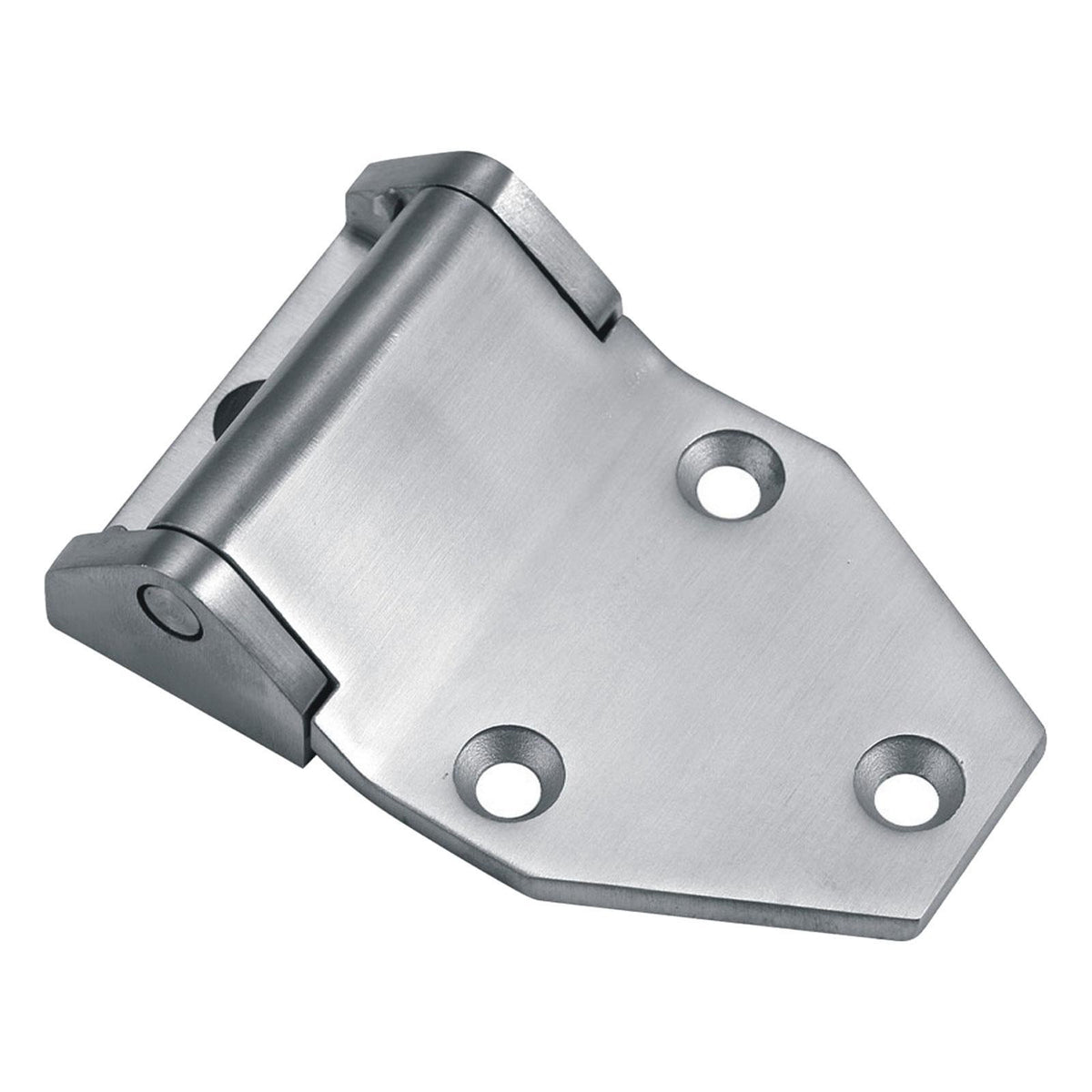 Stainless Steel Door Hinge Multi Function Heavy Duty Gate Hinge for Industrial