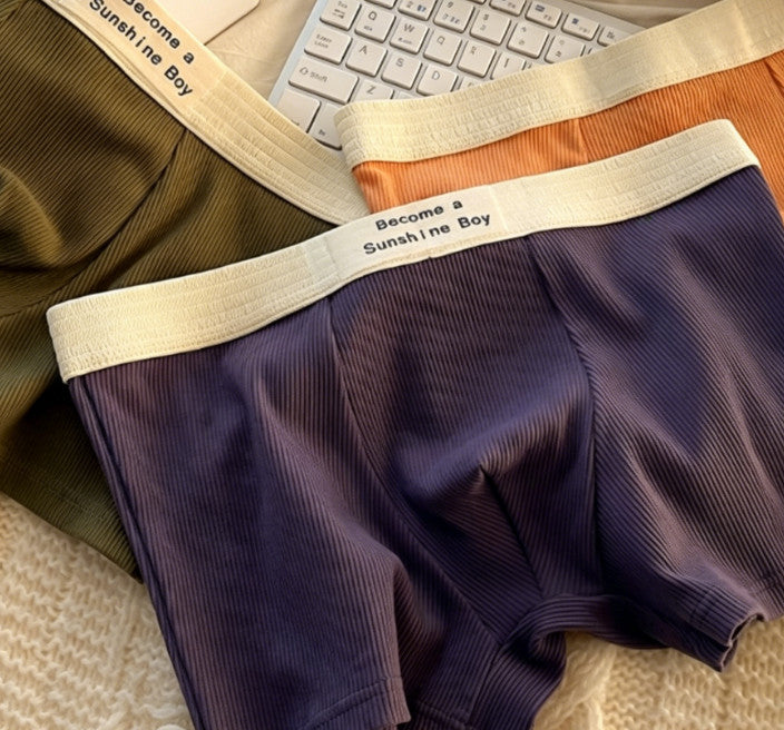 5Pcs Men's Plus-Size Ribbed Boxer Briefs Boxer Briefs Made