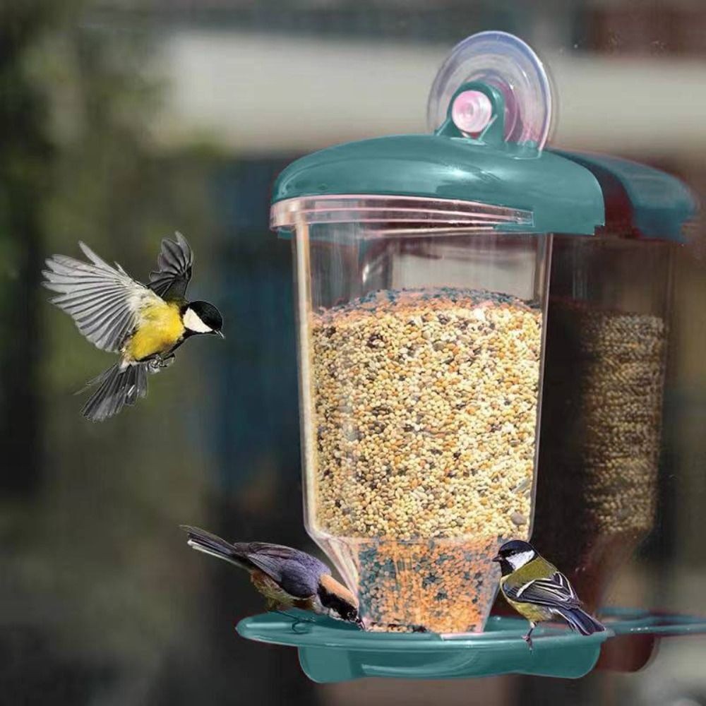 Outdoor Bird Feeder Window Acrylic Suction Cup Bird Hanging Food Dispenser