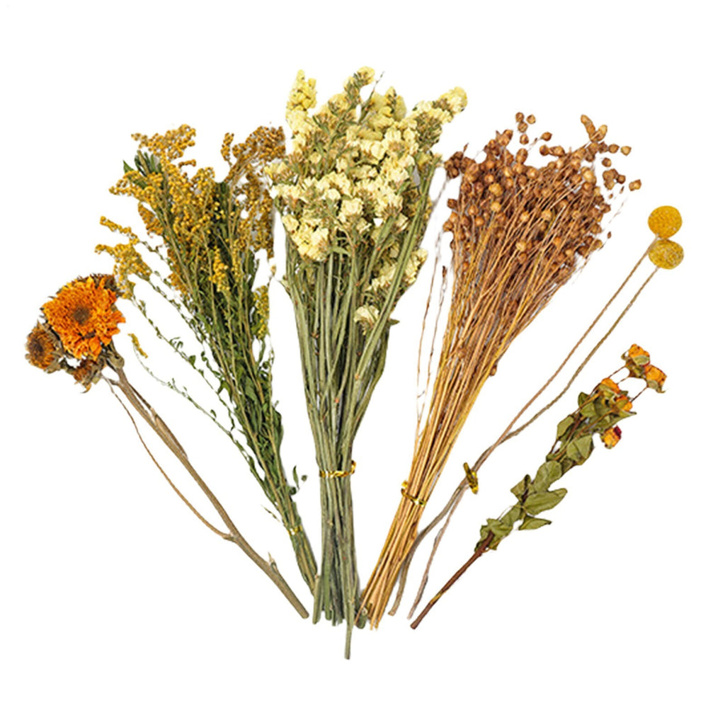 Natural Hamster Bedding Edible Flowers Herbs Sprays for Edible Grain UK