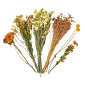 Natural Hamster Bedding Edible Flowers Herbs Sprays for Edible Grain UK