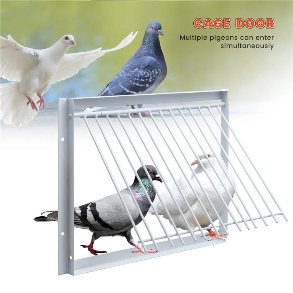 Removable Pigeon Entrance Door 30/40x26cm Trap Door Pigeon Loft Door  Bird Cage