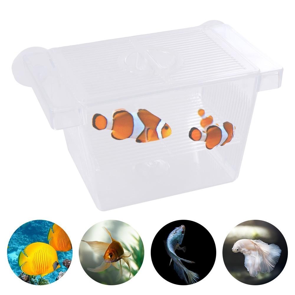 1Pc Fish Isolation Box Acrylic Hatchery Fish Breeding Box Aquarium Breeder Box