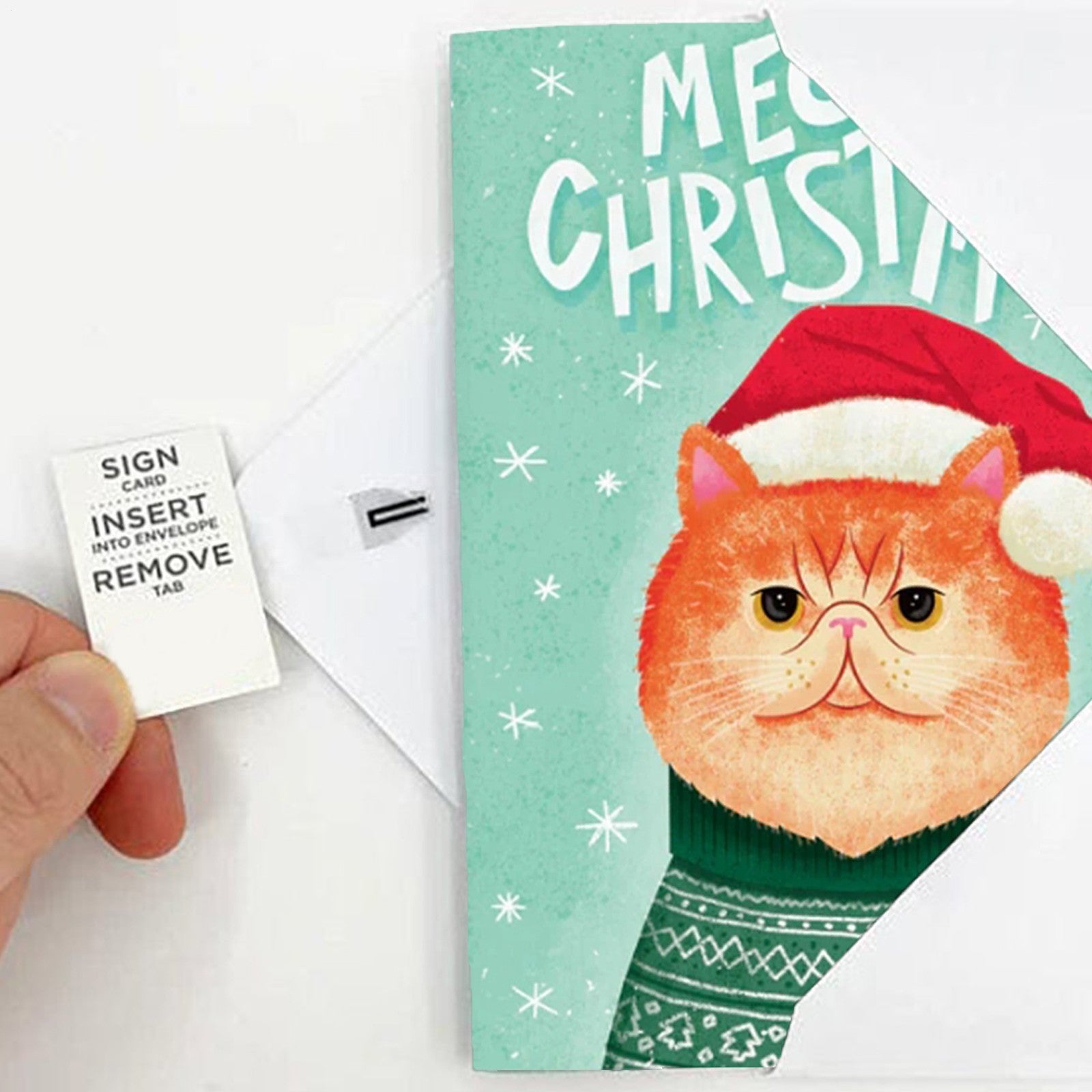 Endless Meowy Christmas With Glitter Endless Meow Christmas Voice Greeting Card