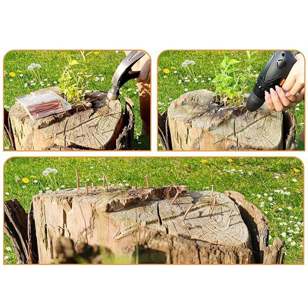 Copper Nails for Tree Stump Root For Killing 4 Inch Solid Copper Spikes