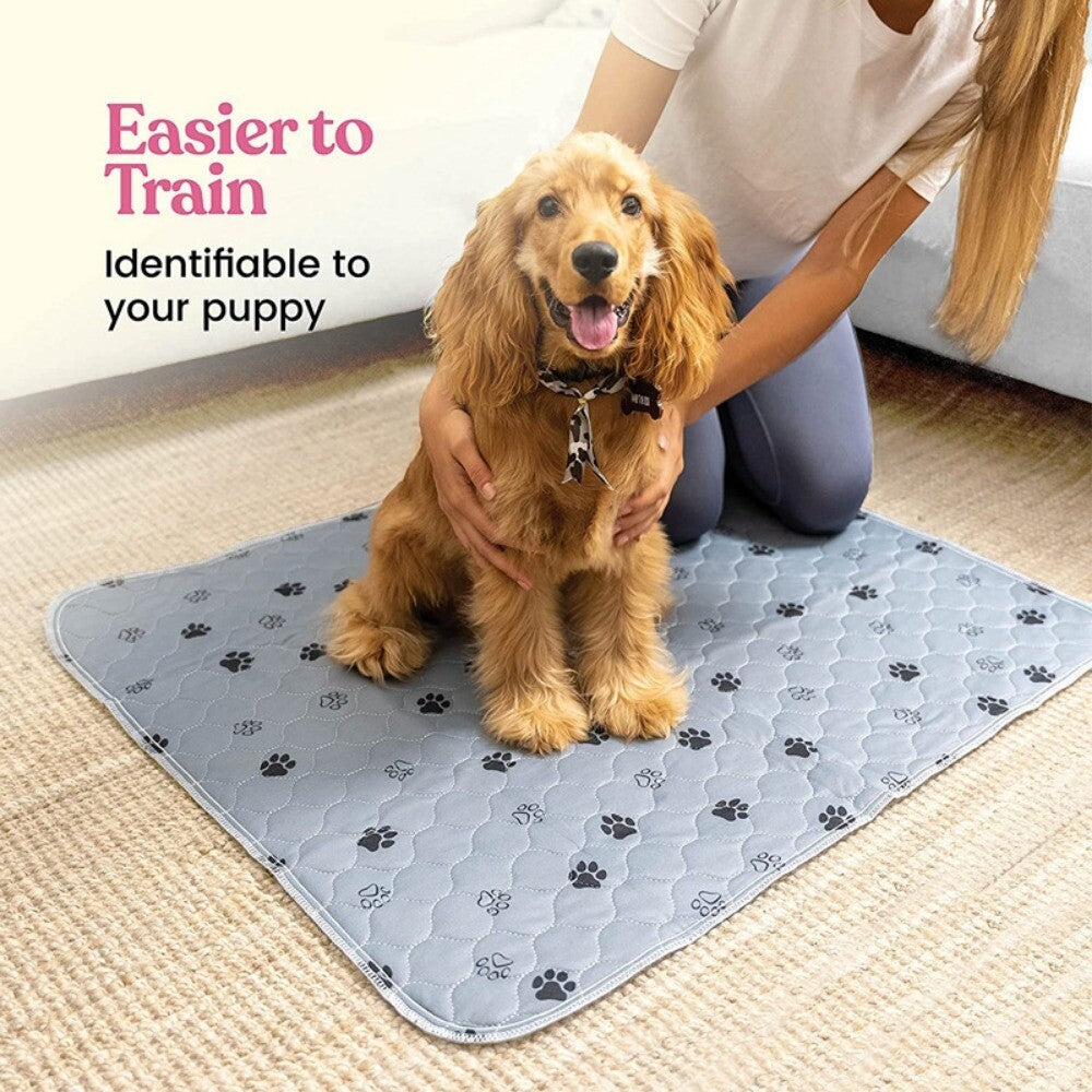 Washable Dog Pee Pads for Dogs - Super Absorbent Reusable Puppy Pads, 2 Pack