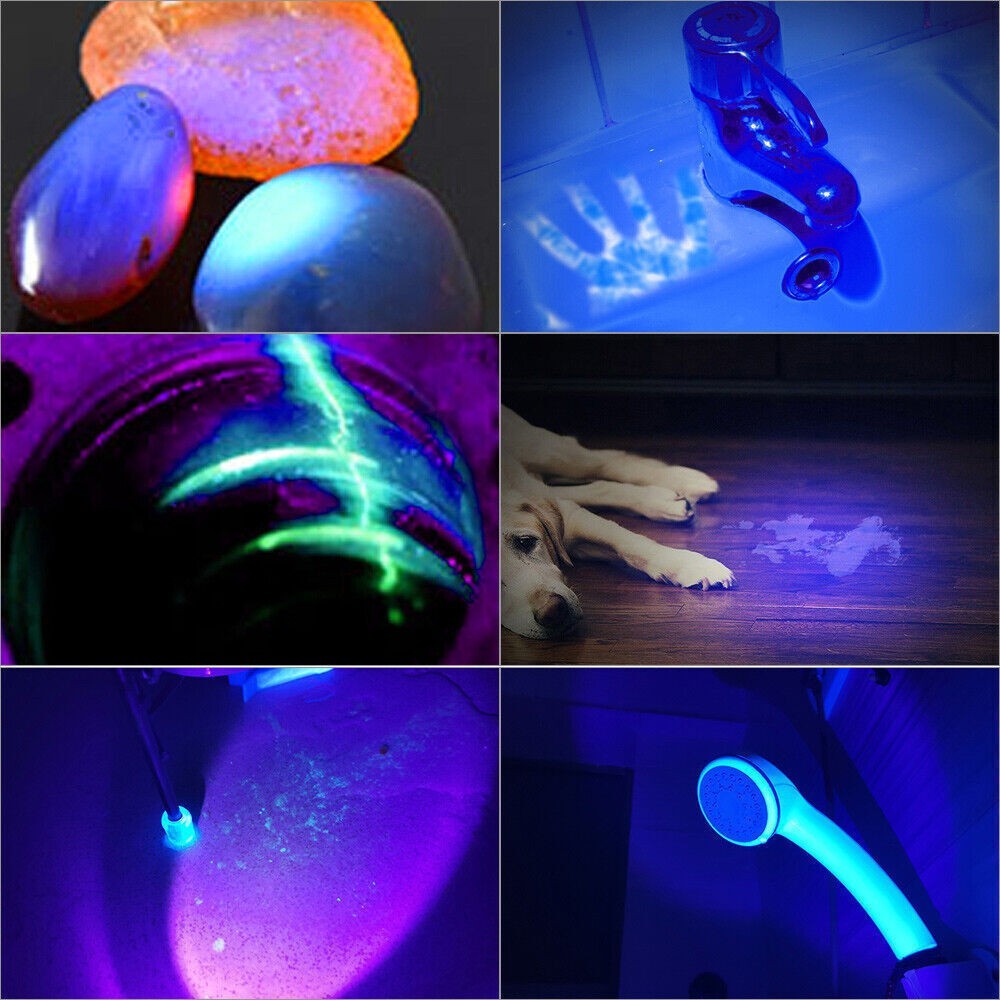 395 LED UV Torch Flashlight Light USB Rechargeable Ultra Violet Blacklight Zoom