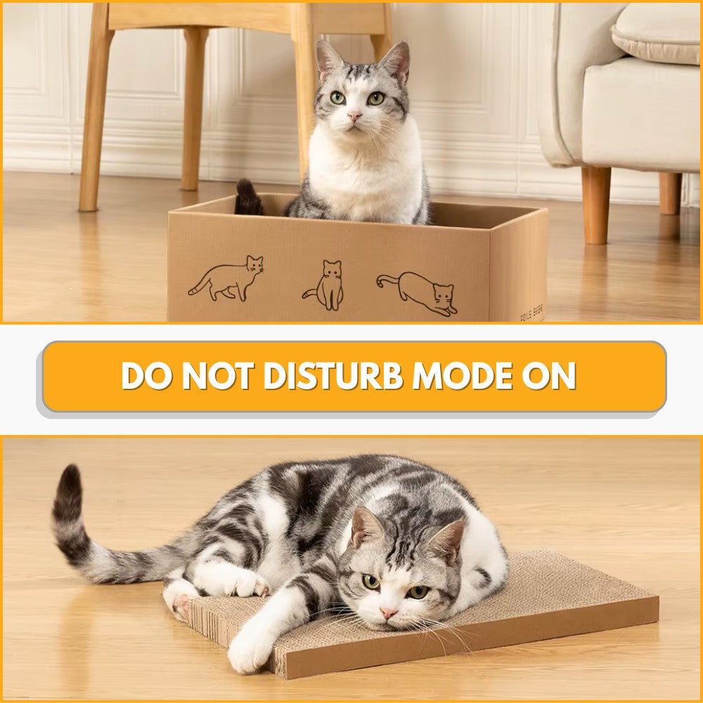 5PC Cat Cardboard Scratch Bed Multi-use Kitten Claw Grinding Scratcher Pad Box