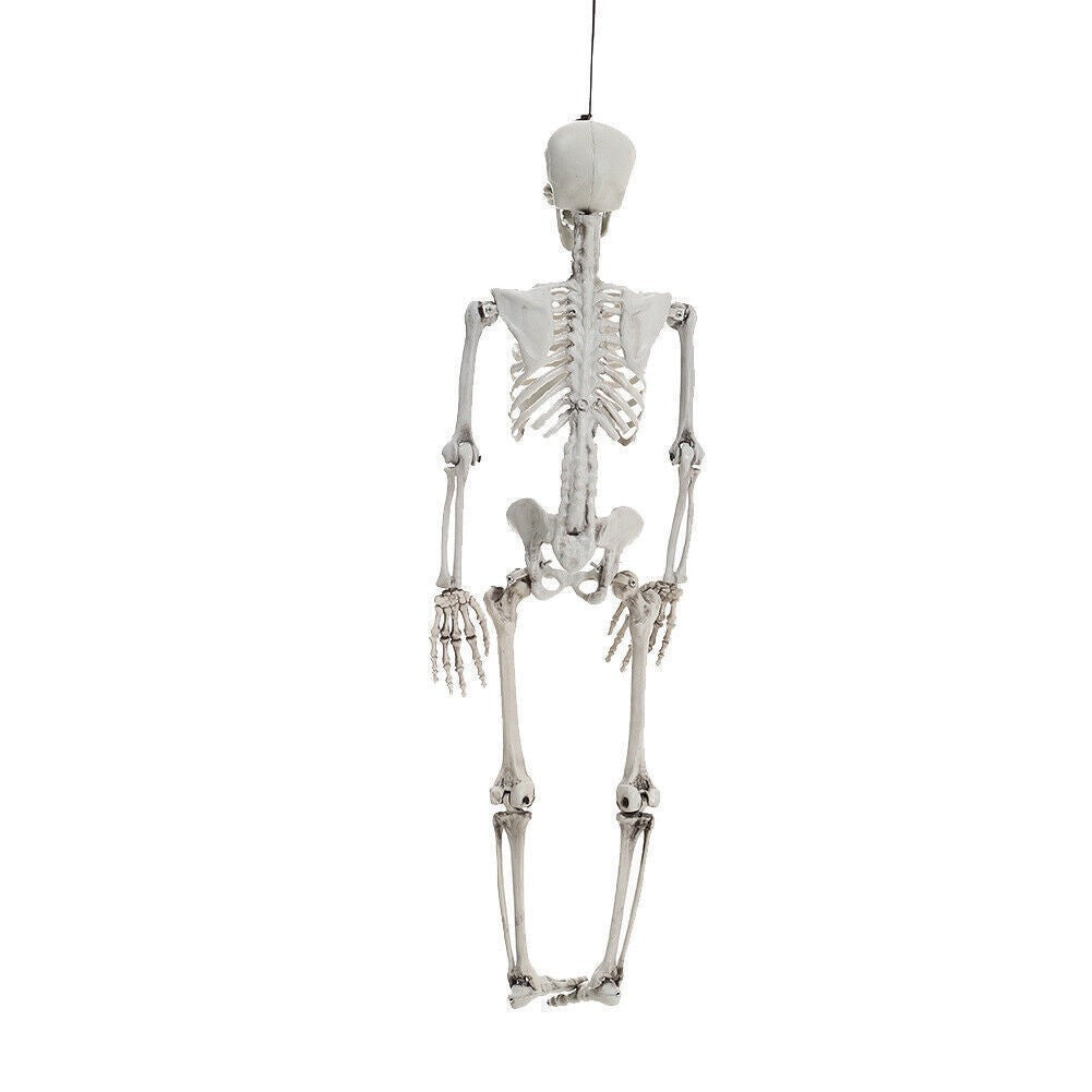 90cm Poseable Full Life Size Human Skeleton Prop Halloween Party Decoration
