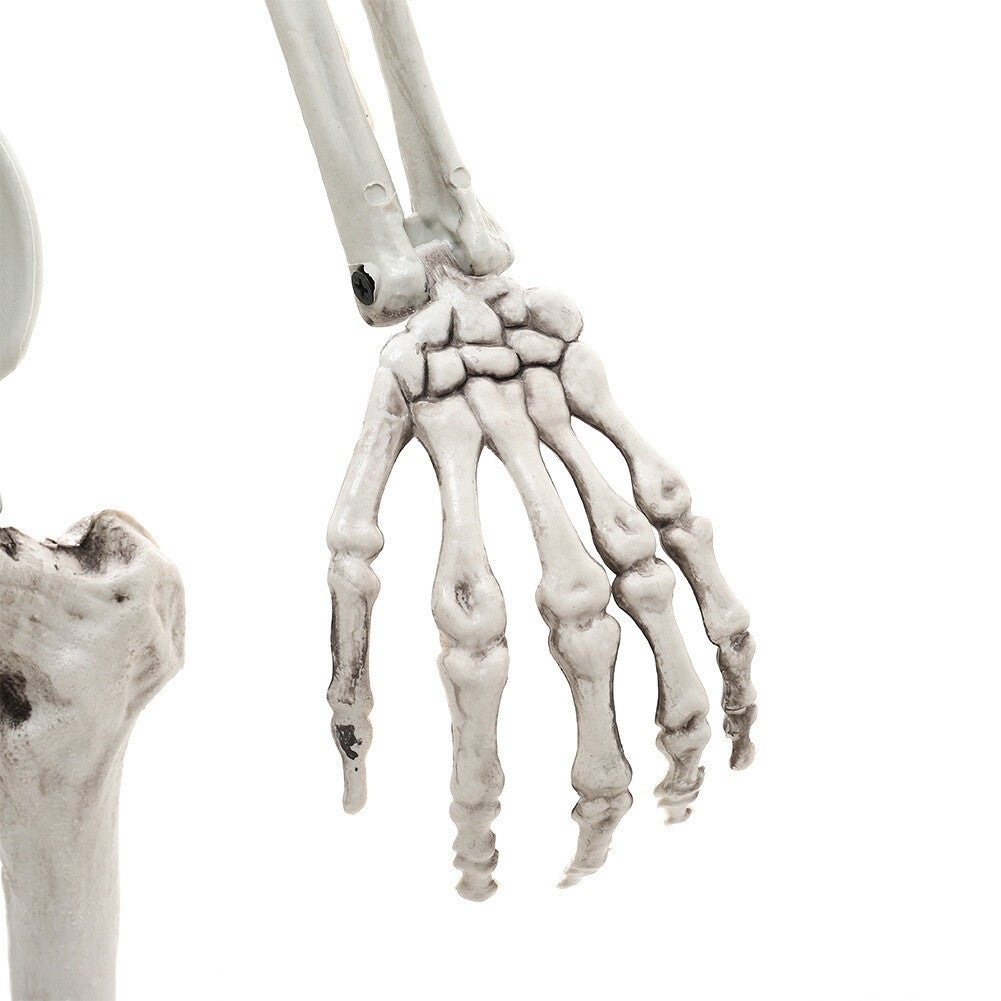 90cm Halloween Poseable Skeleton Full Life Size Human Skeleton Decoration