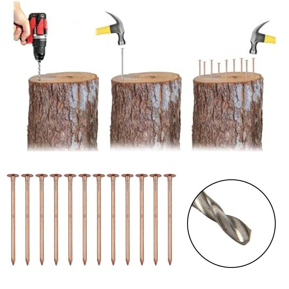 Copper Nails for Tree Stump Root For Killing 4 Inch Solid Copper Spikes
