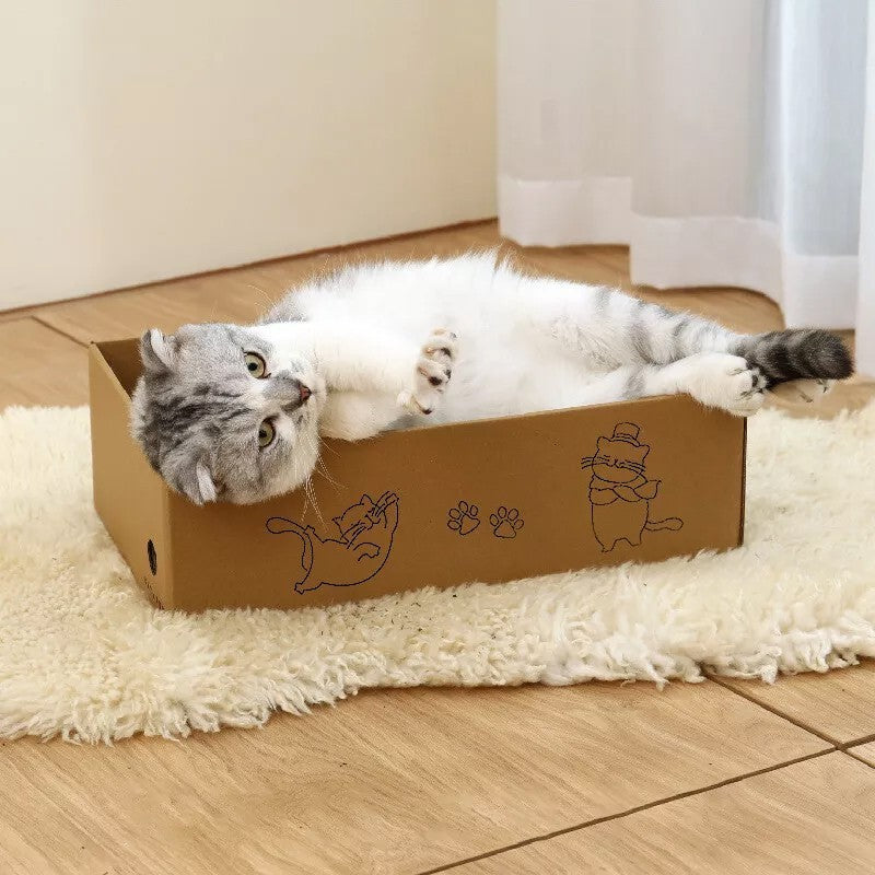5PC Cat Scratching Board Box Cardboard Kitten Pad Claw Scratcher Scratch Bed Pet