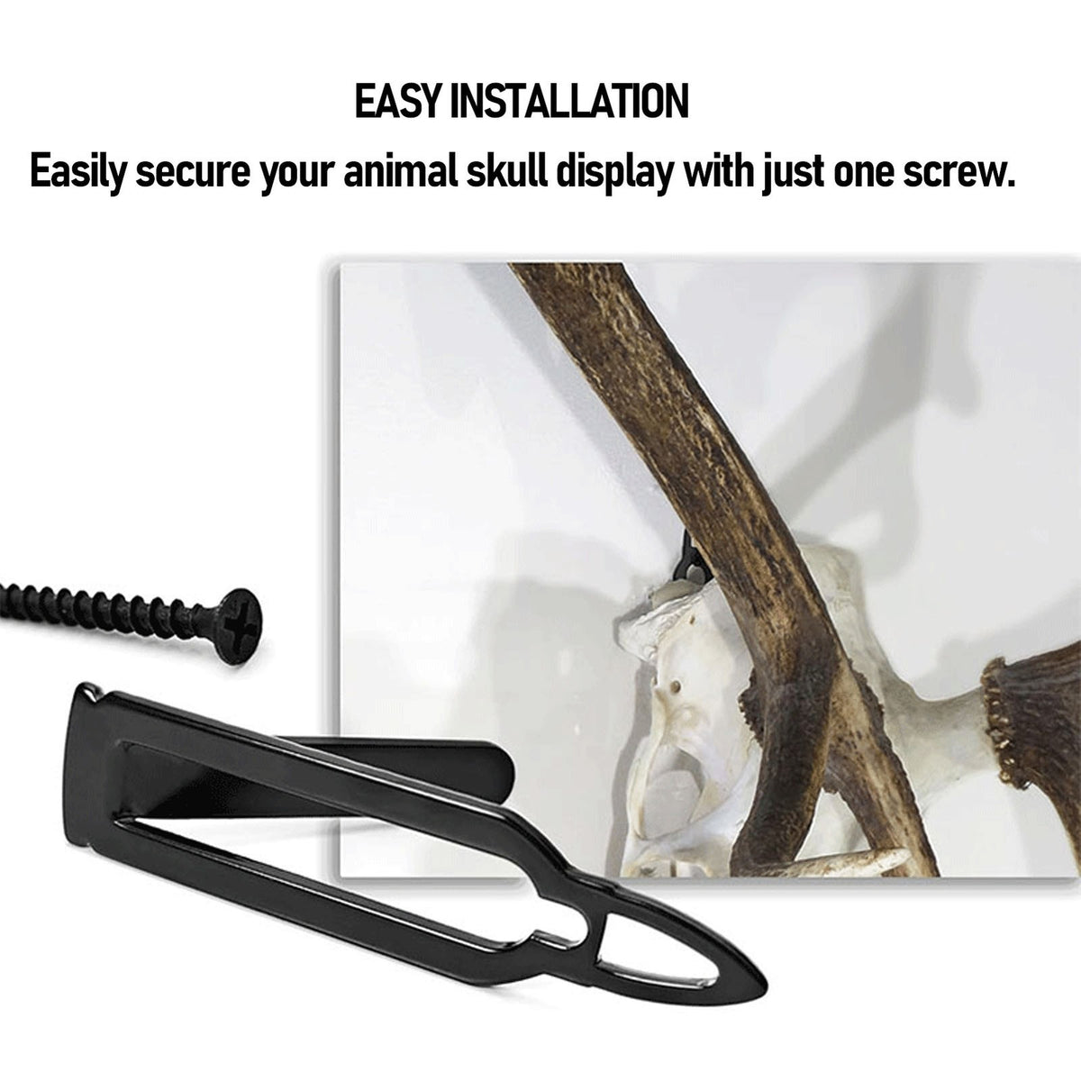 6PCS European Skull Wall Mount Bracket Hangers For Deer Mule Antelope Small
