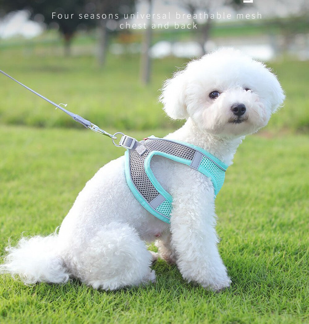 Dog Harness Leash Set Adjustable Puppy Cat Harness Vest Outdoor For Small Dogs