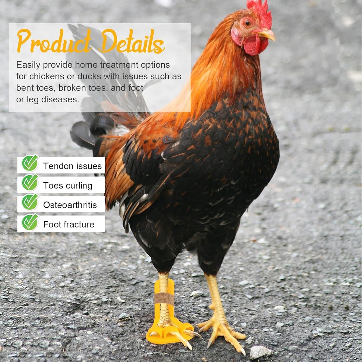4-Piece Poultry Leg Splint Set with Holes- Professional Bumble Foot Treatment