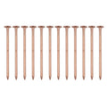 Copper Nails for Tree Stump Root For Killing 4 Inch Solid Copper Spikes