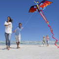 Pterosaur 3D Dragon Kite Good Flying Outdoor Flying Kite  Kid & Adult