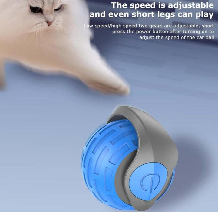Speedy Tail 2.0 Speedy Tail Cat Toy Interactive Cat Toy Smart Indoor Cats Toy