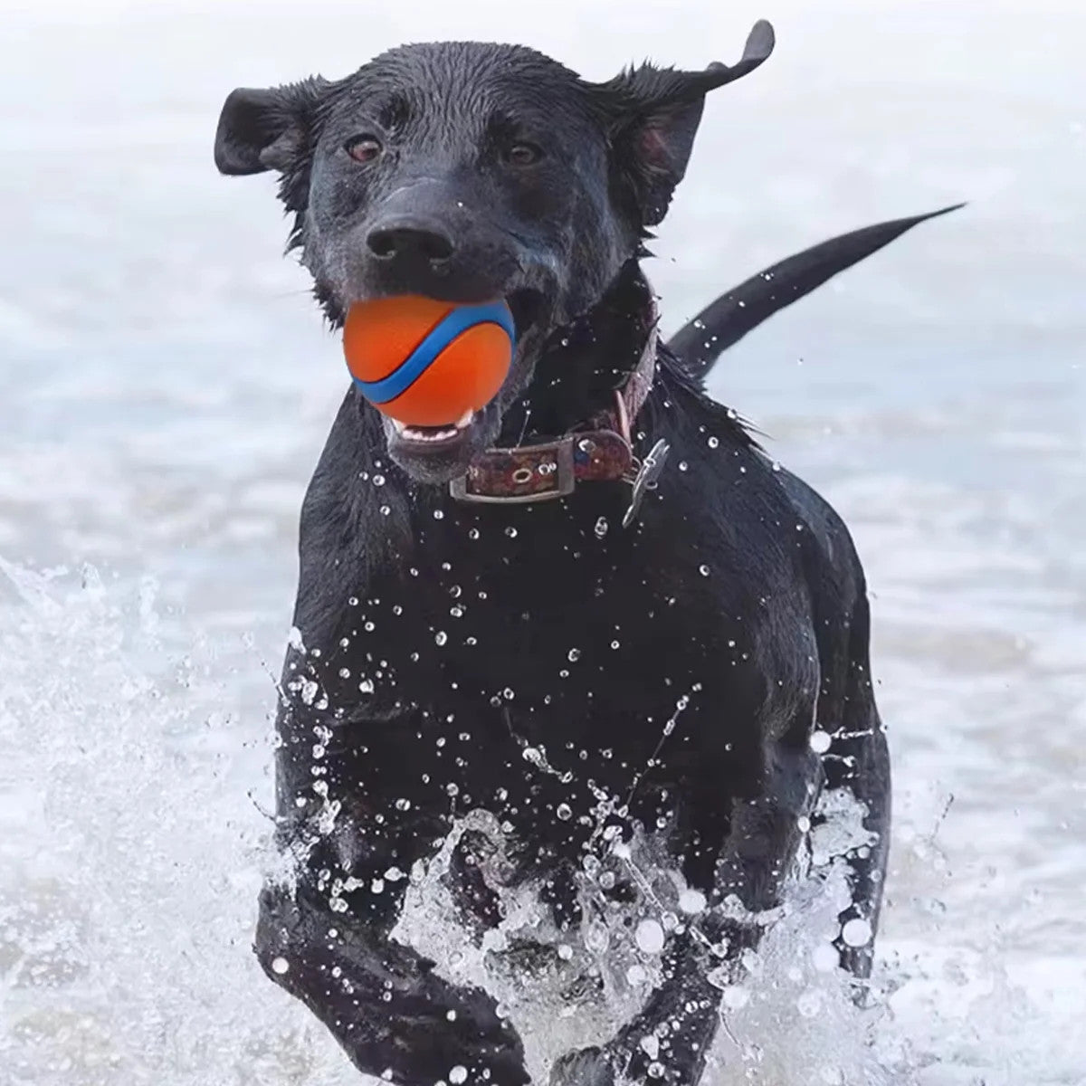 3 Pack Squeaky Dog Ball Toys Rubber Chew Balls Interactive Puppy Training Toy