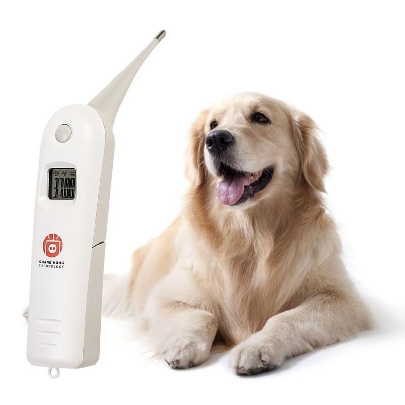 Livestock Thermometer Digital Thermometer Fast Rectal Thermometer for Cow Horse