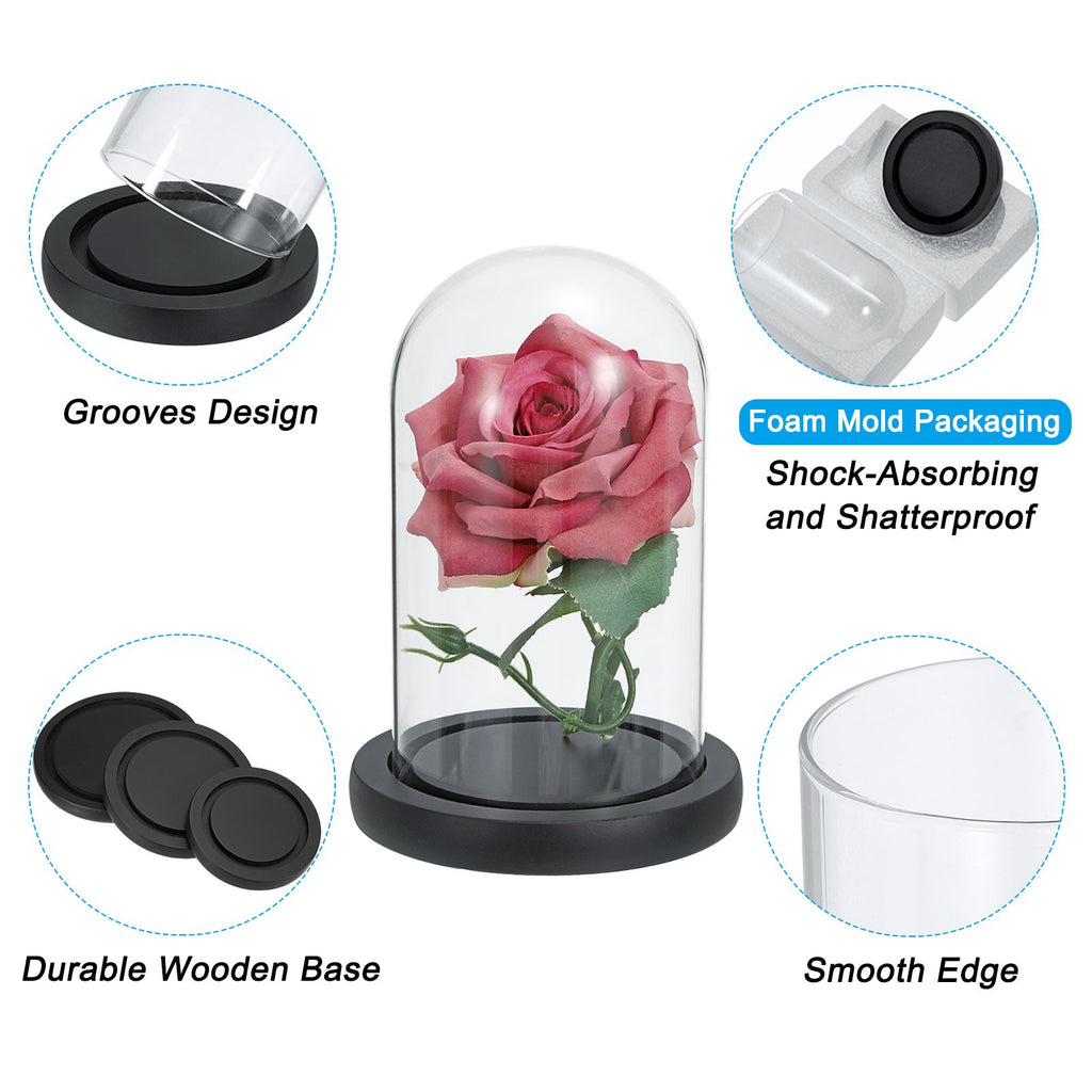 Clear Cloche Glass Dome Glass Bell Jar Display with Wooden Base