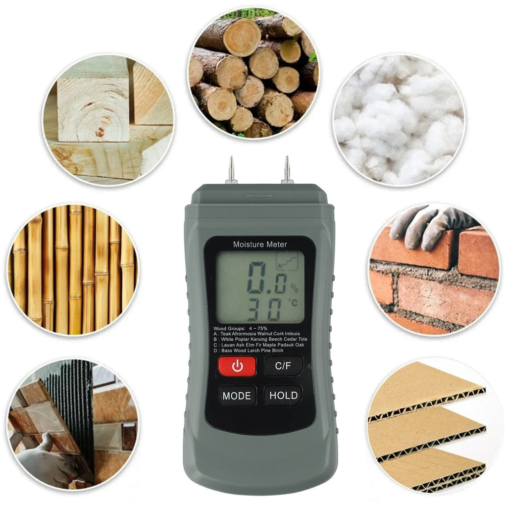 Innovative Moisture Reader Designed for Efficient Wood Drying Processes