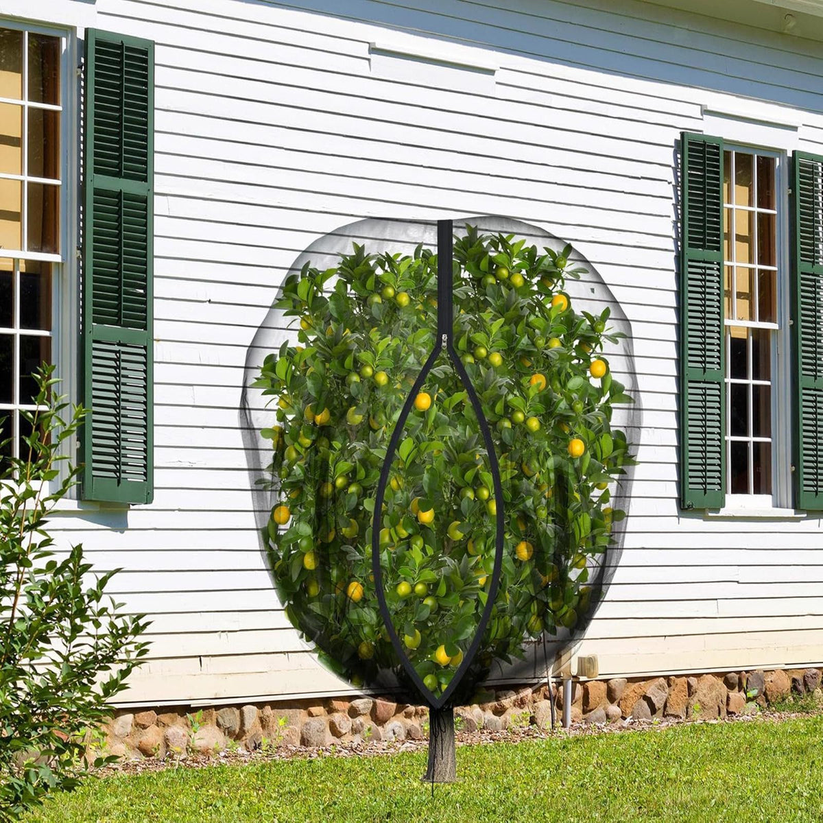 Fruit Tree Netting Garden Tree Netting for Cherry Blueberry Bushes Berry