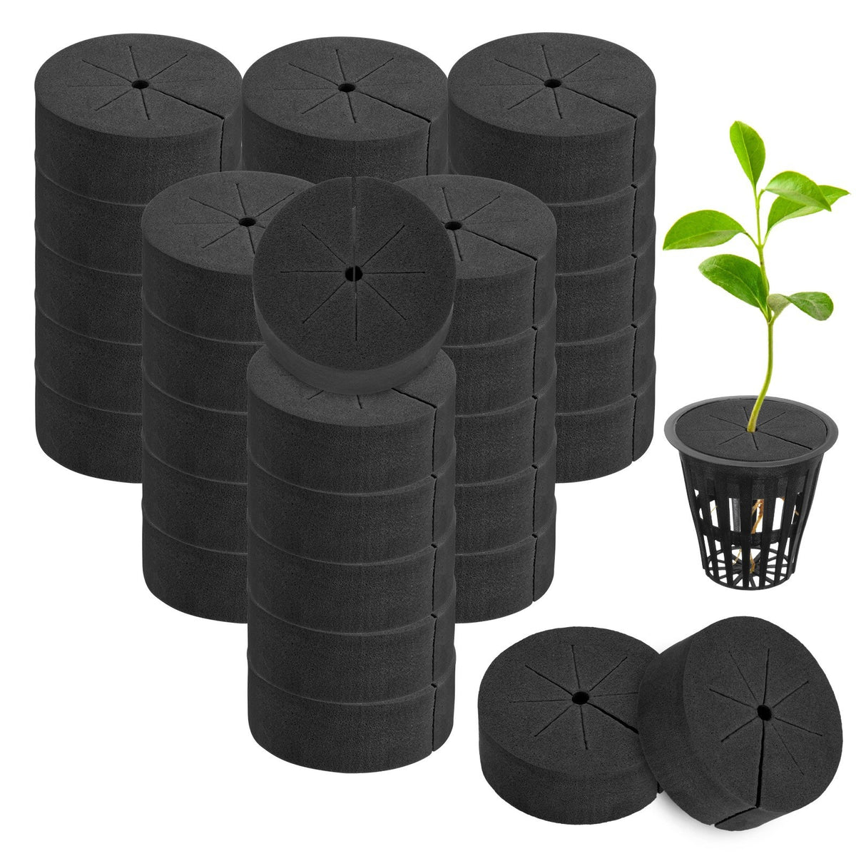 60-Pack Cloning Collars Inserts, Hydroponics Sponge Systems Cloning [Black]