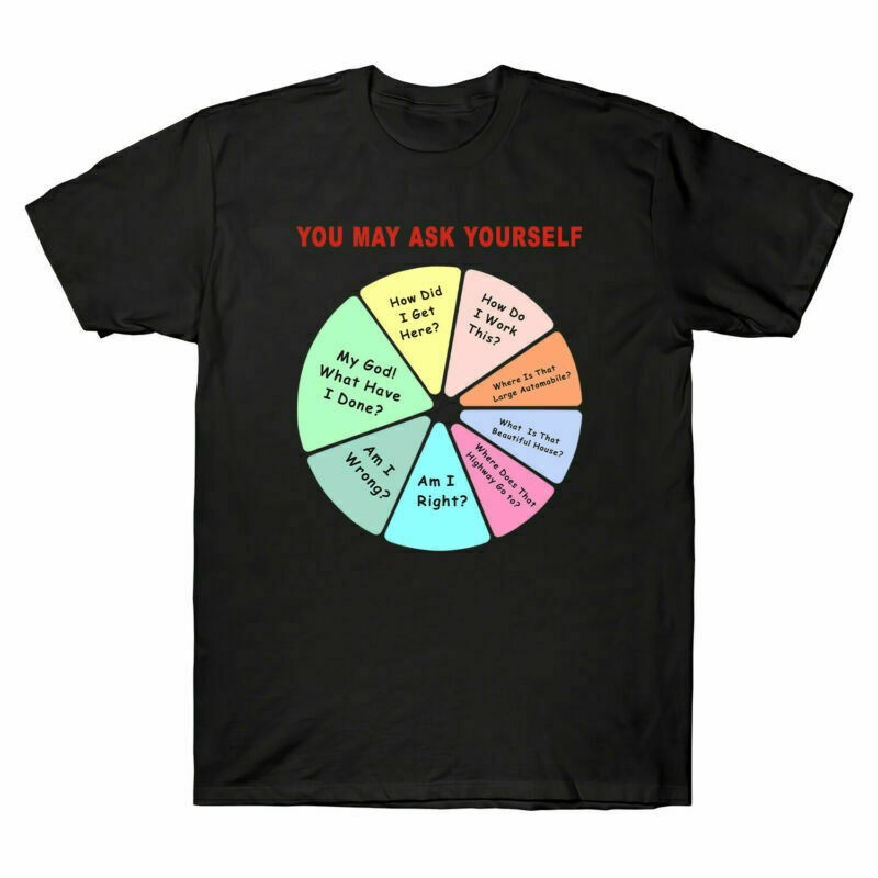 You May Ask Yourself T-Shirt   Once In A Lifetime Pie Chart T-Shirt