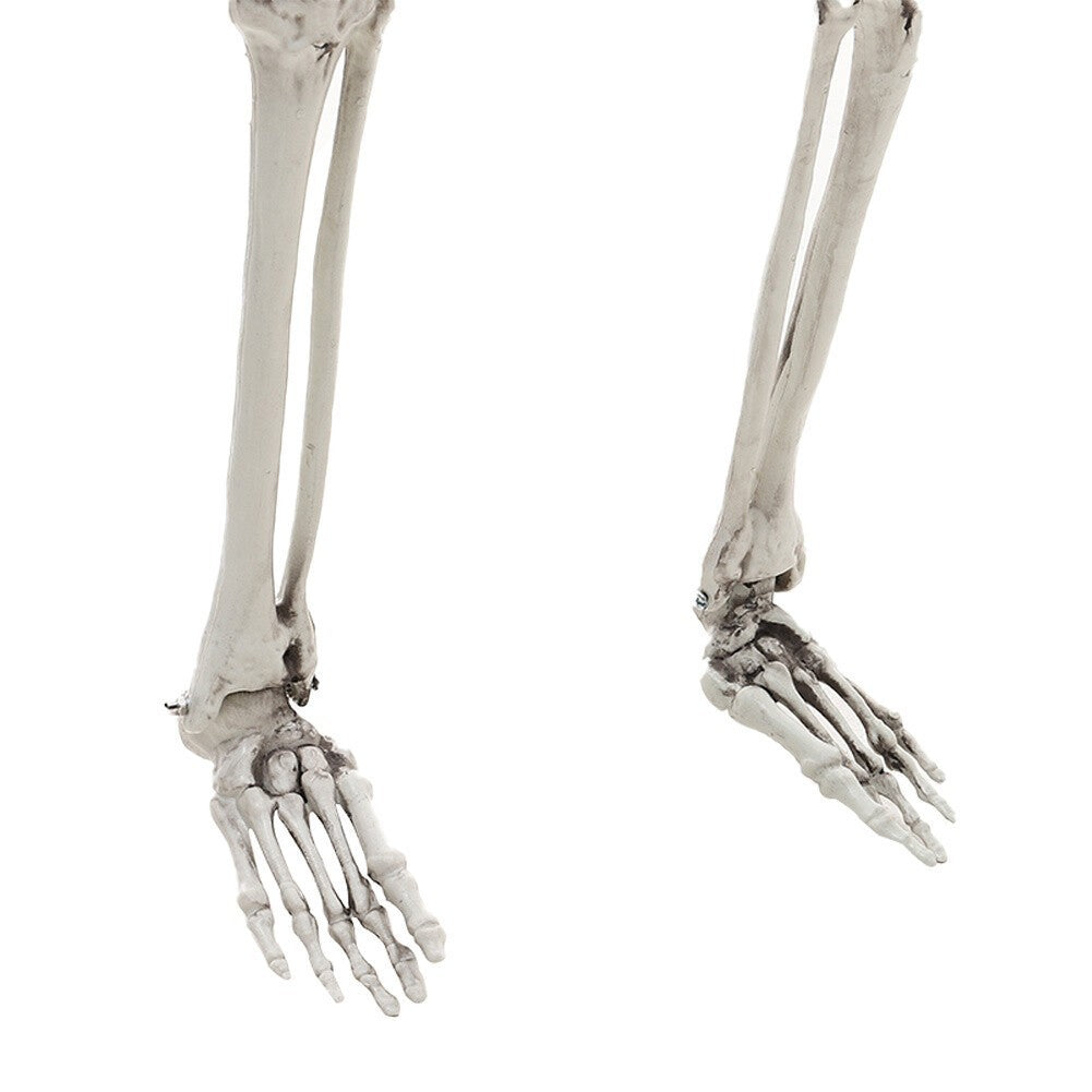 90cm Halloween Poseable Skeleton Full Life Size Human Skeleton Decoration