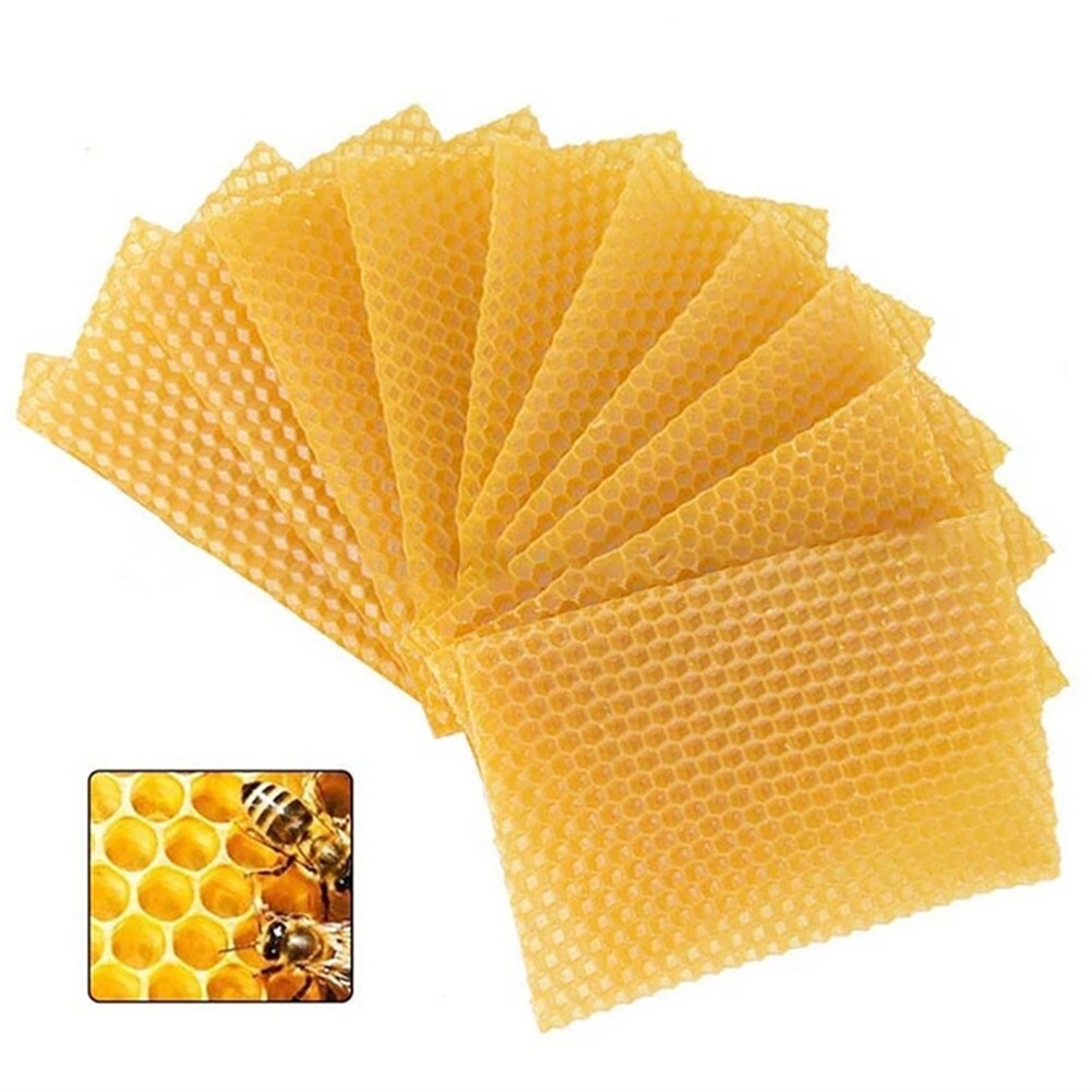 30PCS Beehive Wax Foundation Frames Beekeeping Equipment Kit Bee Hive Set