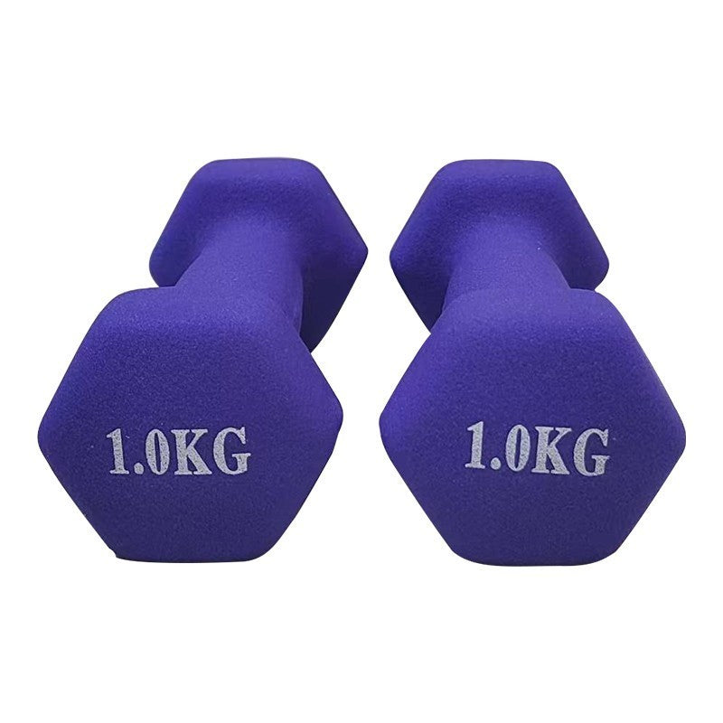 Pair 1kg 2kg 3kg Dumbbell Fitness Hand Weights Set for Women Home Gym Workout UK