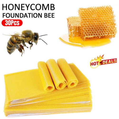 10/30 Pieces Beeswax Sheets Natural Honeycomb Bee Wax Foundation Sheets 13.3*9cm