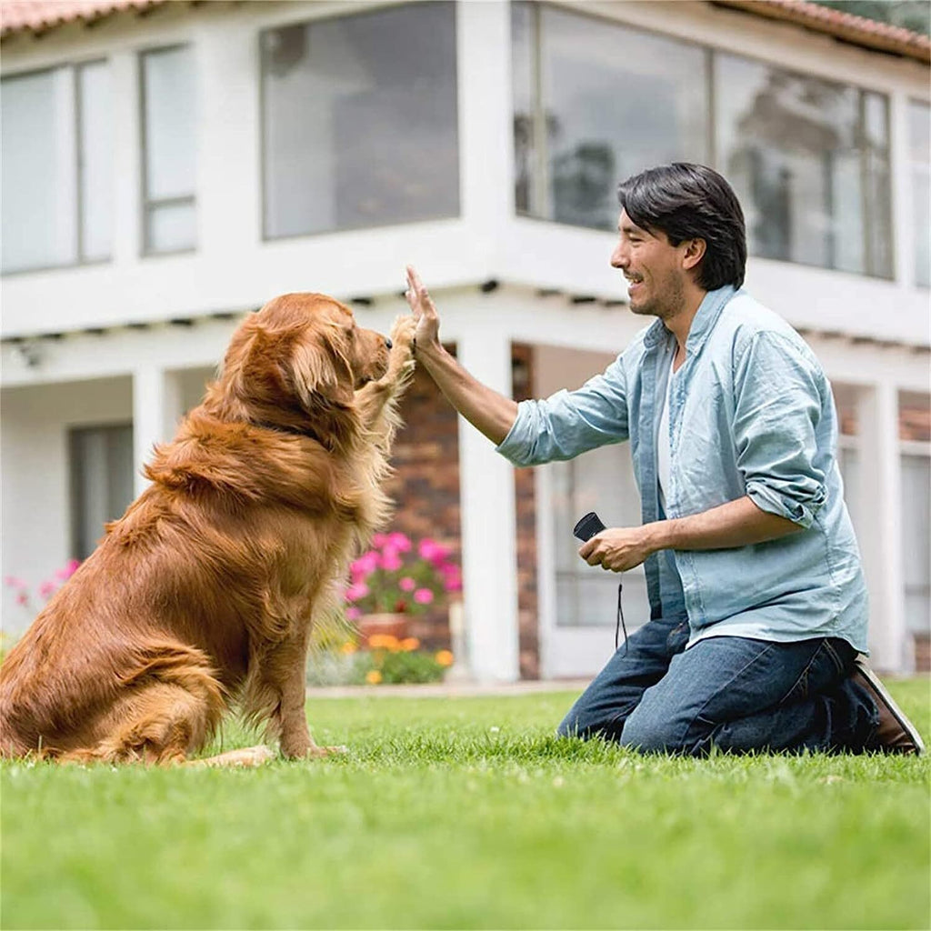 Pet Zen Dog Bark Control Device New Upgrade Anti Barking Training Deterrent Tool