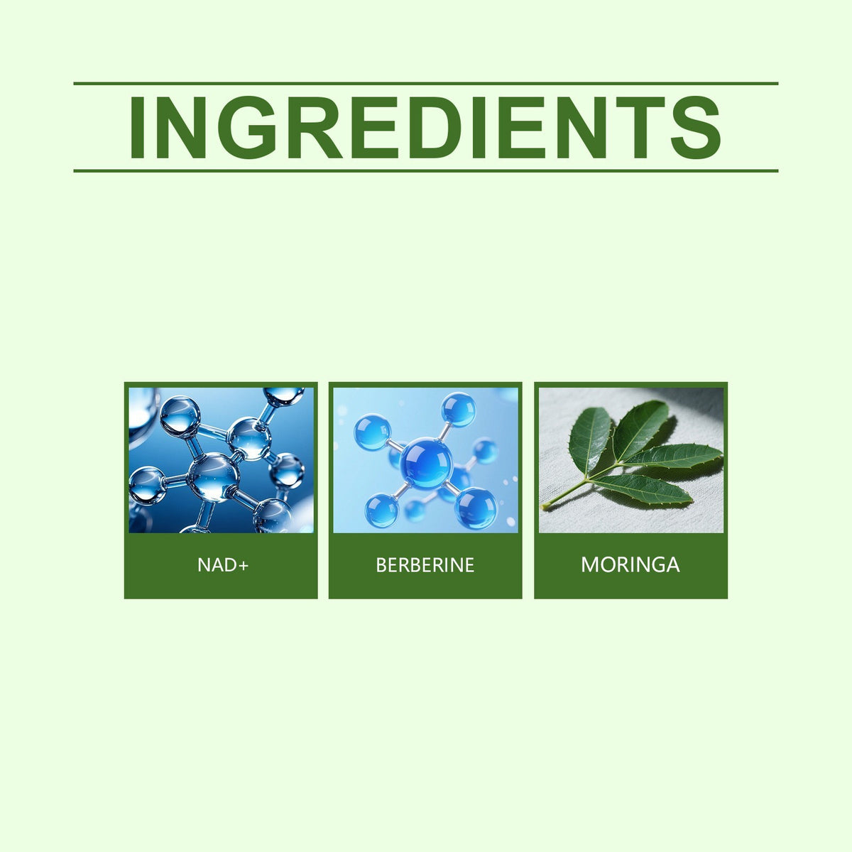 Moringa Berberine 10 in 1 Advanced 7 Pcs/Box