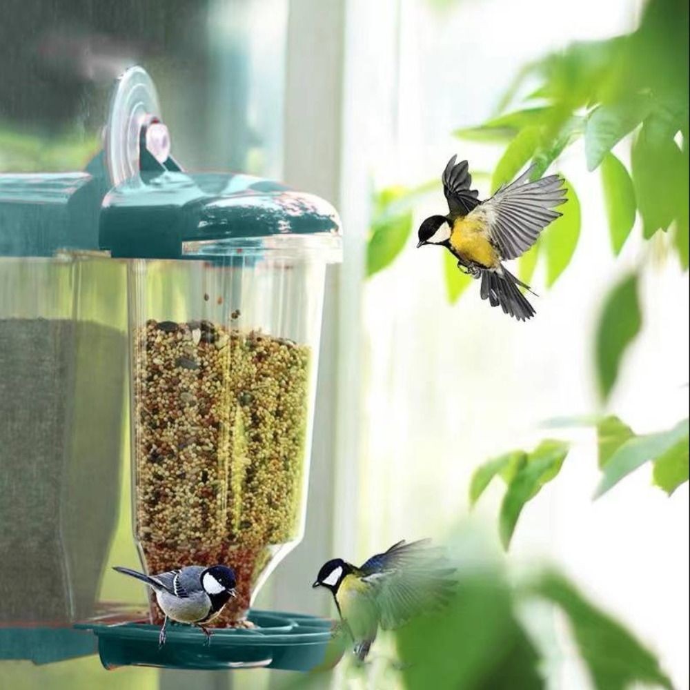 Outdoor Bird Feeder Window Acrylic Suction Cup Bird Hanging Food Dispenser