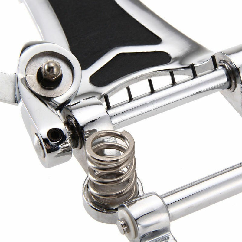 Vibrato Bridge Tremolo Tailpiece Tailpiece Supply for Les Paul Guitar A