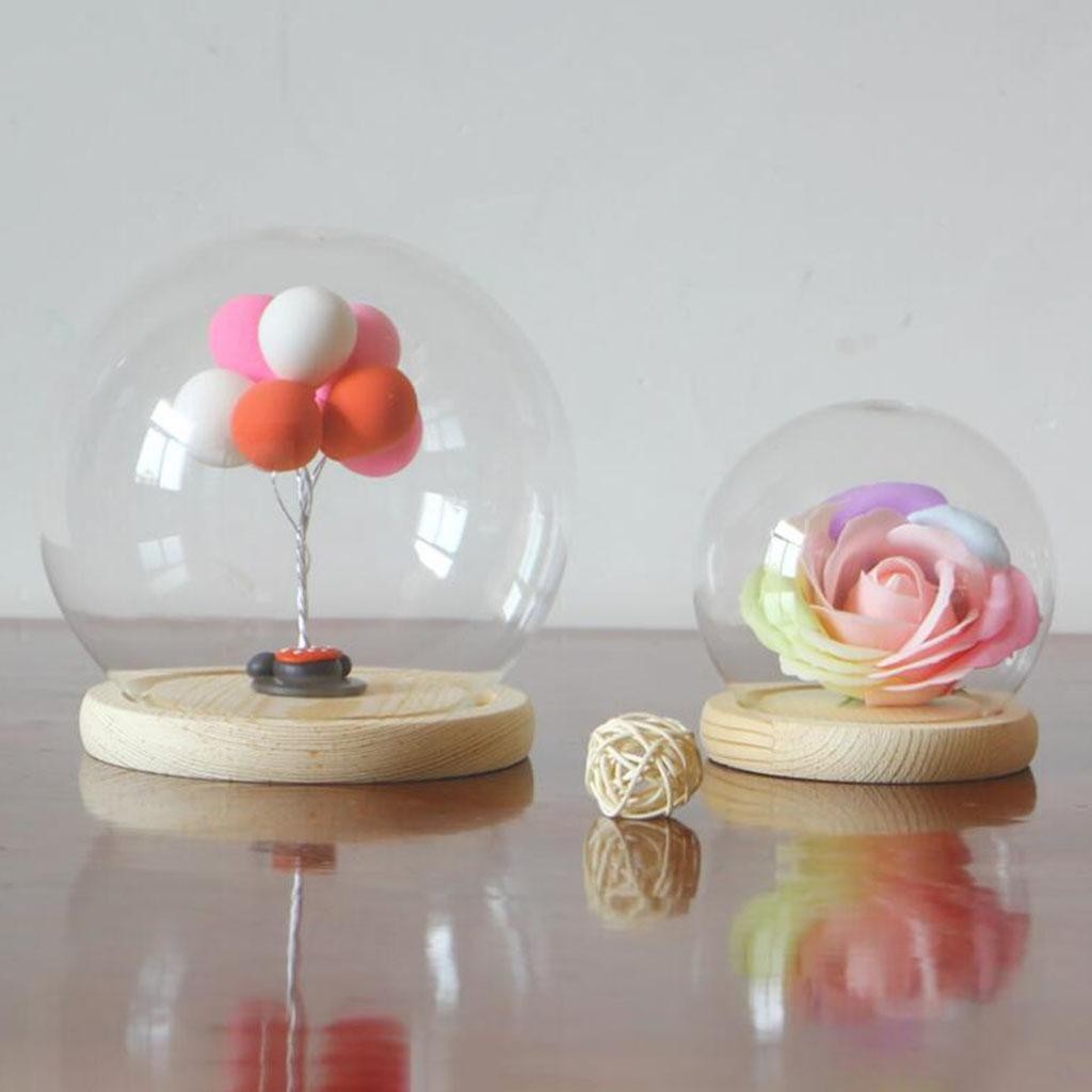 Round Glass Dome Cloche Terrarium Display Case with Wood Base DIY Decoration