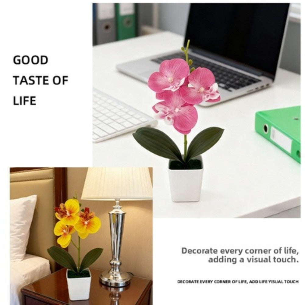 Artificial Phalaenopsis Orchid 5.5cm Wide 25cm Tall Plastic Potted Flower