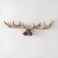 Innovative Nostalgically Styled Hoofed Hooks Aesthetic Scandinavian Designs