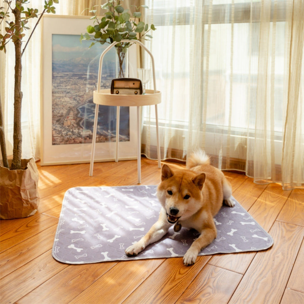 Puppy Pads Pheromones Reusable Puppy Pads Washable Dog Pee Pad Pet Training Pad