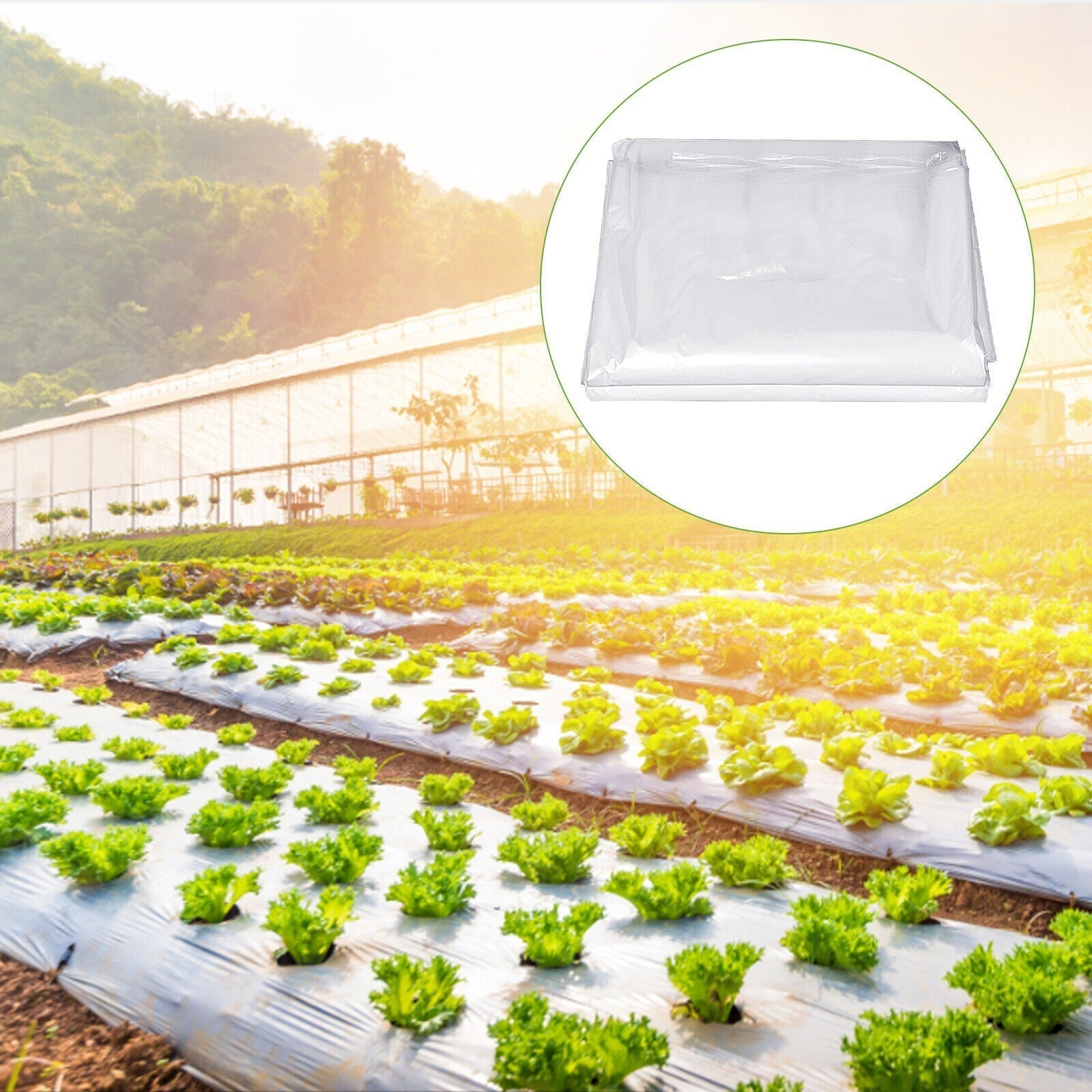 Heavy Duty Thick Clear Film Poly Tunnel Plastic Sheet Garden Greenhouse Cover UK
