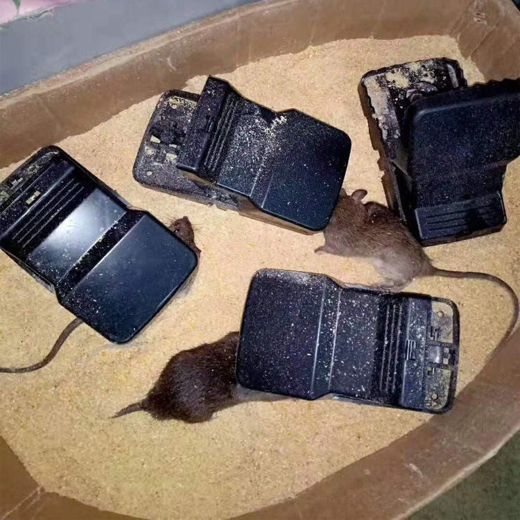 2PCS XXL 21cm Rat Traps That Kill Instantly Rodent Snap Trap Catcher Rat Killer