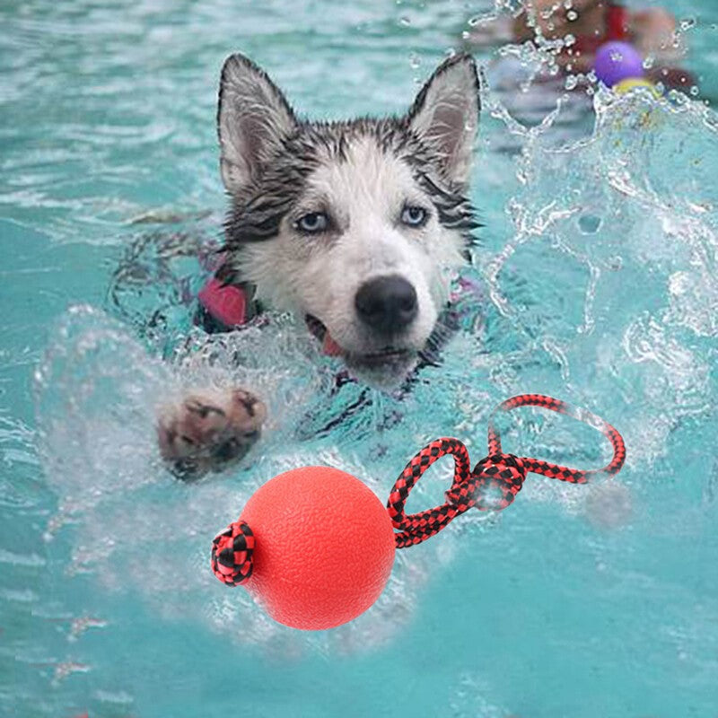 2x Indestructible Dog Ball on Rope Puppy Chew Toy Training Dog Theeth Cleaning