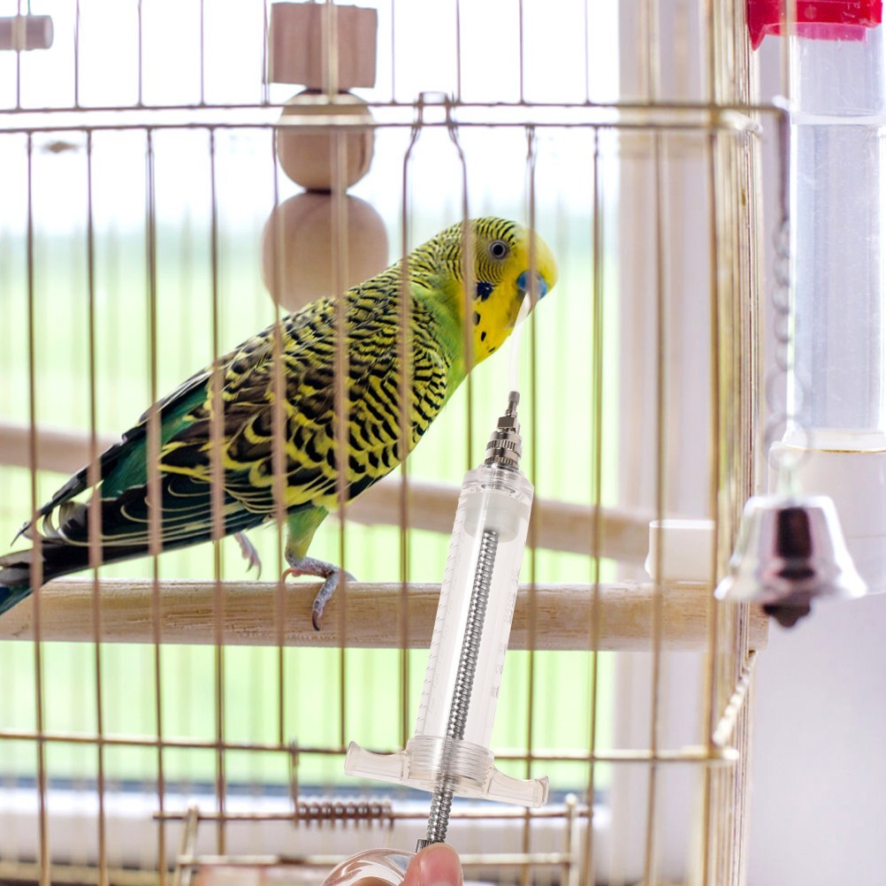 2 Sets Birds Feeding Tool Feeding Tubes for Birds Parrot Hand Feeding Tube