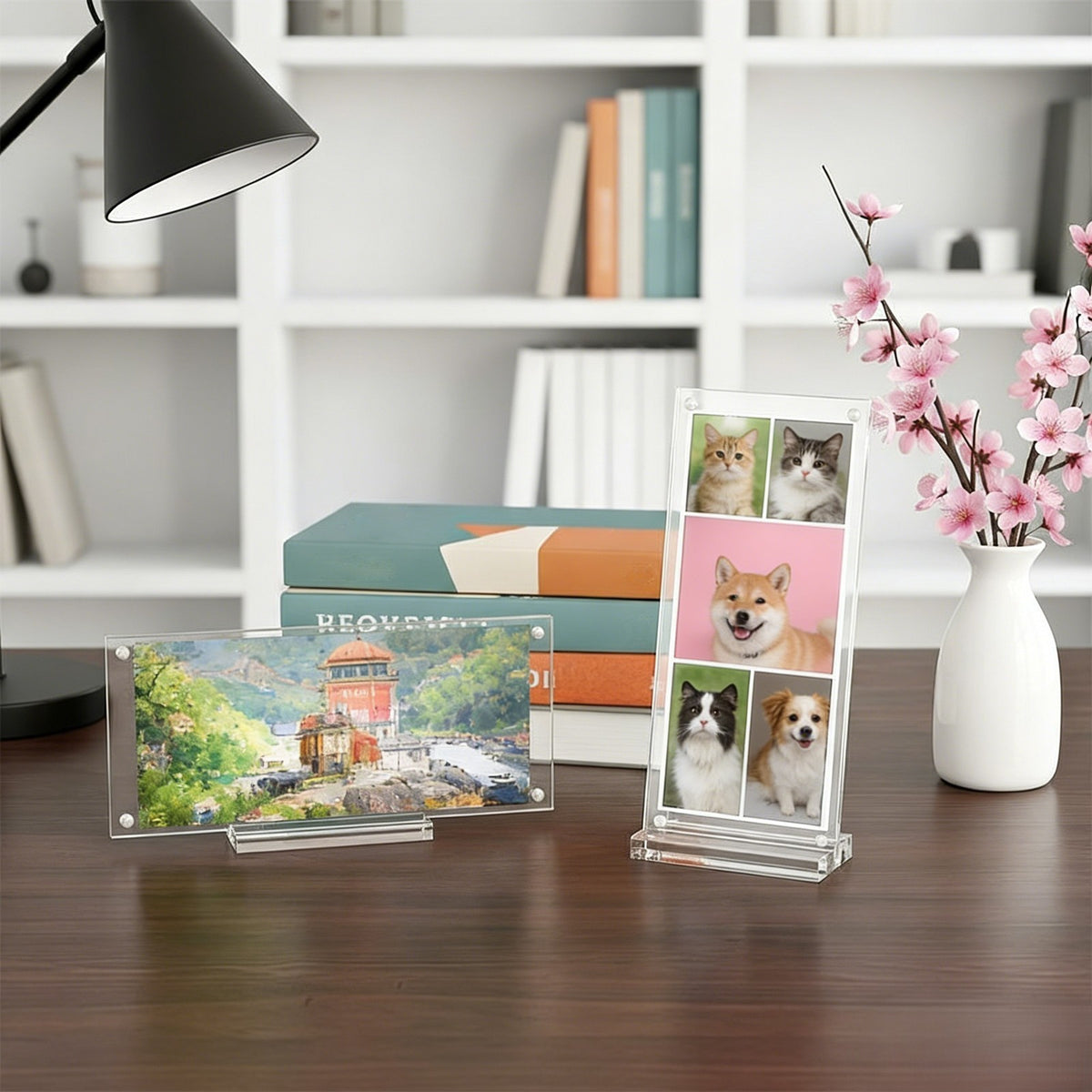 Double Sided Acrylic Display Frame for Currency and Keepsakes 3.5 x 7.3 Inches