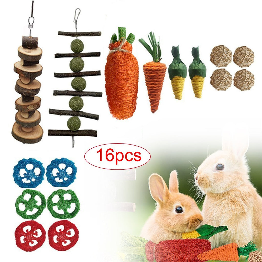 16Pcs Chew Toys Set for Small Animal Rabbit Teeth Care and Exercise Natural Wood