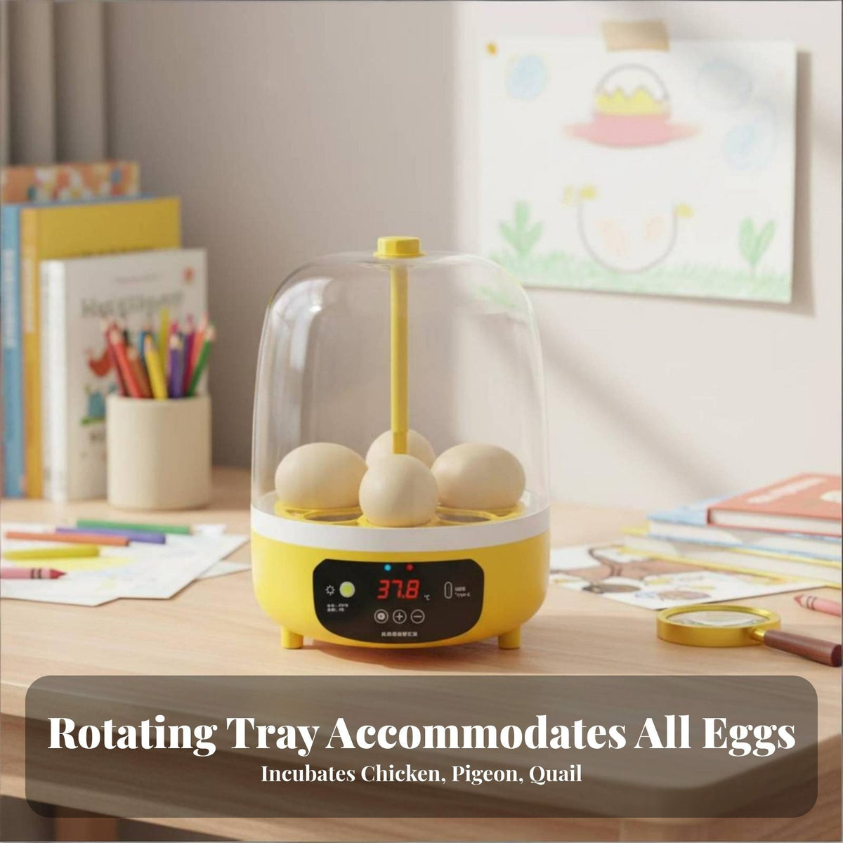 Eggs Incubator, Device Poultry Turning Brooder Automatic