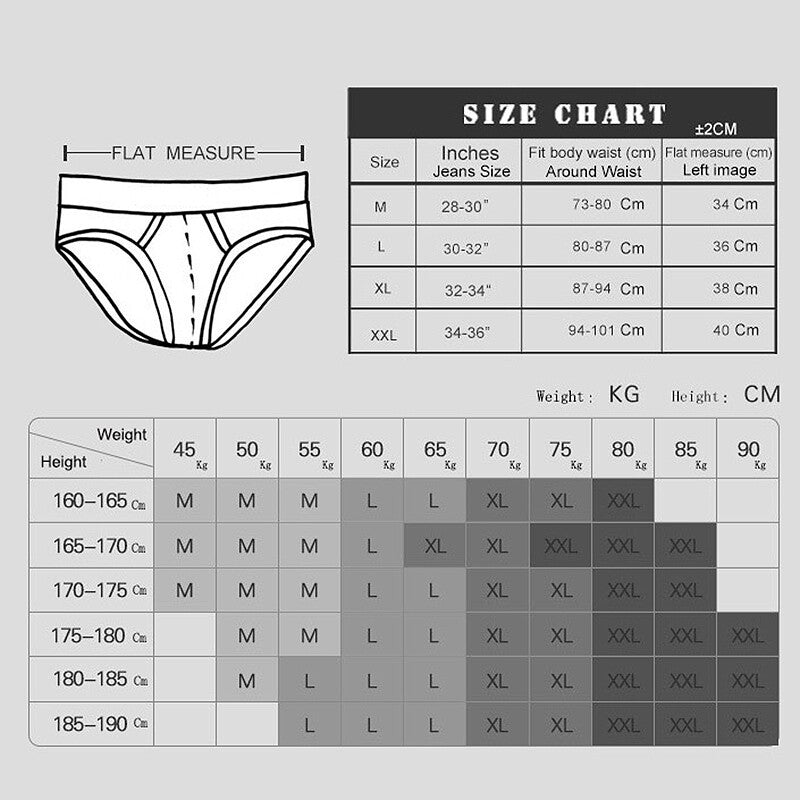 Men Swimming Trunks Beach Surf Bikini Briefs Sexy Stretch Underpants Gay